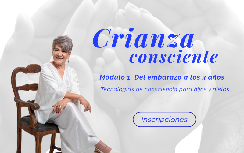Header website (8)